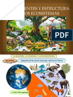 Componentes y Esctructura de Los Ecosistemas