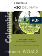 0299 El Caso Del Naya Informe IGIA