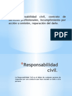 2.2 Responsabilidad Civil. Yael Arellano.