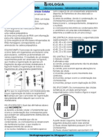 Nucleo e Divisao Exercicios