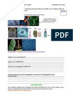 CTS Primero PDF