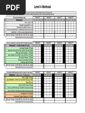 Level 4 Renegade Workout Sheet.pdf
