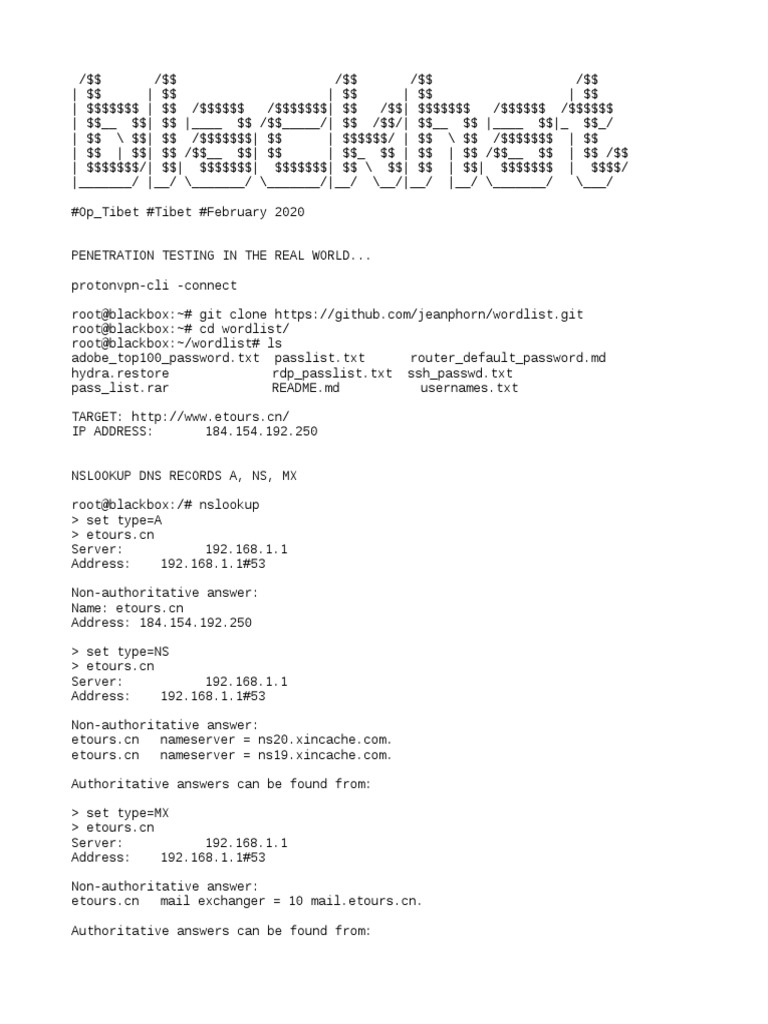 #Penetration Testing in The Real World | PDF | Domain Name System ...