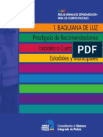 Guia Baquiana de Luz.pdf