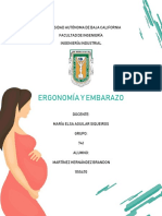 Ensayo - Ergonomia, Produccion y Productividad PDF