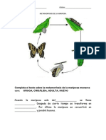 Metamorfosis de La Mariposa PDF