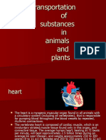 Transportation of Substances in Animals and Plants