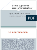 Diplomatura Superior en Neuroeducación Transdiciplinar