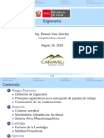 Ergonomía PDF