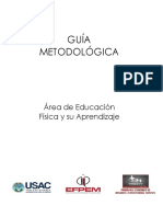 Guía Metodológica Final PDF