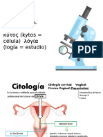 CITOLOGIA - Cervical