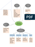 MAPA DE EEFF.docx