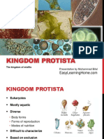 07 Kingdom Protista