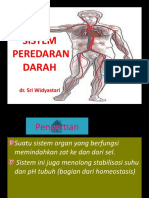 PPT Sistem Peredaran Darah Anatomi Fisiologi