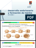 Desarrollo Embrionario y Tejidos