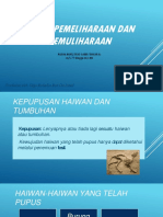 Slide BAB 5 PEMELIHARAAN DAN PEMULIHARAAN