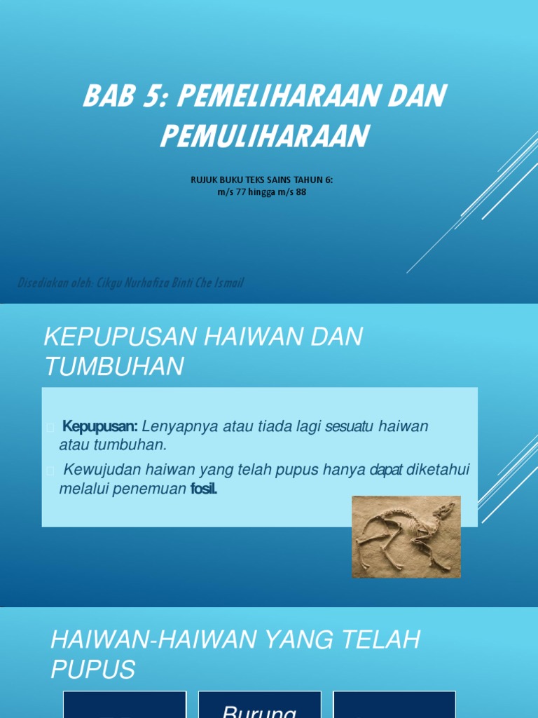 Slide Bab 5 Pemeliharaan Dan Pemuliharaan Pdf