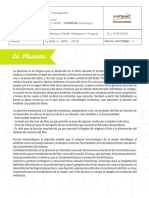 Organos Importantes PDF