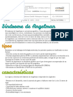 Sindromes PT 4 PDF