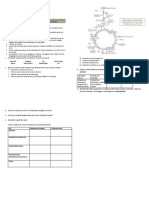 Biología HT