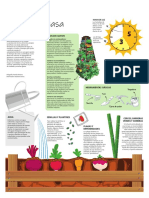 Infografia Huerta en Casa