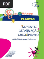 Sementes Germinacao e Crescimento