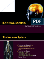 The Nervous System: by William M. Banaag, R.N