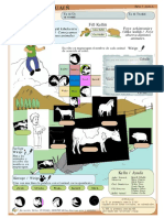 Ficha 3-Fill Kulli Los Animales+fill M Las Aves PDF