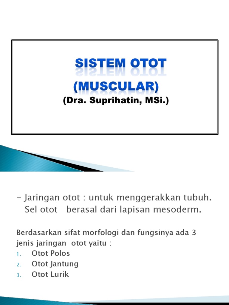 Jaringan Otot Pdf