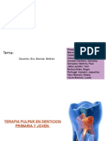 Terapia Pulpar TRABAJO Corregido