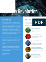 Recruiting Flyer Why Flex PDF