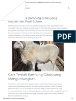 Cara Ternak Kambing Gibas Yang Mudah Dan Pasti Sukses