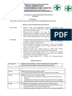 2.3.6 SK Visi Dan Misi PKM SEI Hanyo