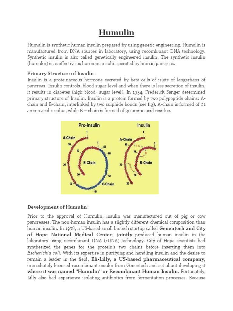 Humulin and Human Growith Hormone | PDF | Growth Hormone | Recombinant Dna