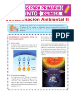 Fenómenos Causados Por La Contaminación para Quinto de Primaria PDF