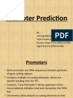 Promoter Prediction