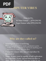 Introduction To Viruses | PDF | Computer Virus | Malware