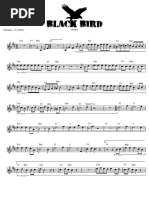 Black Bird