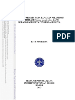 2013rno PDF