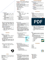 FK1.pdf