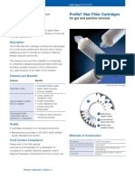 Profile Star PDF
