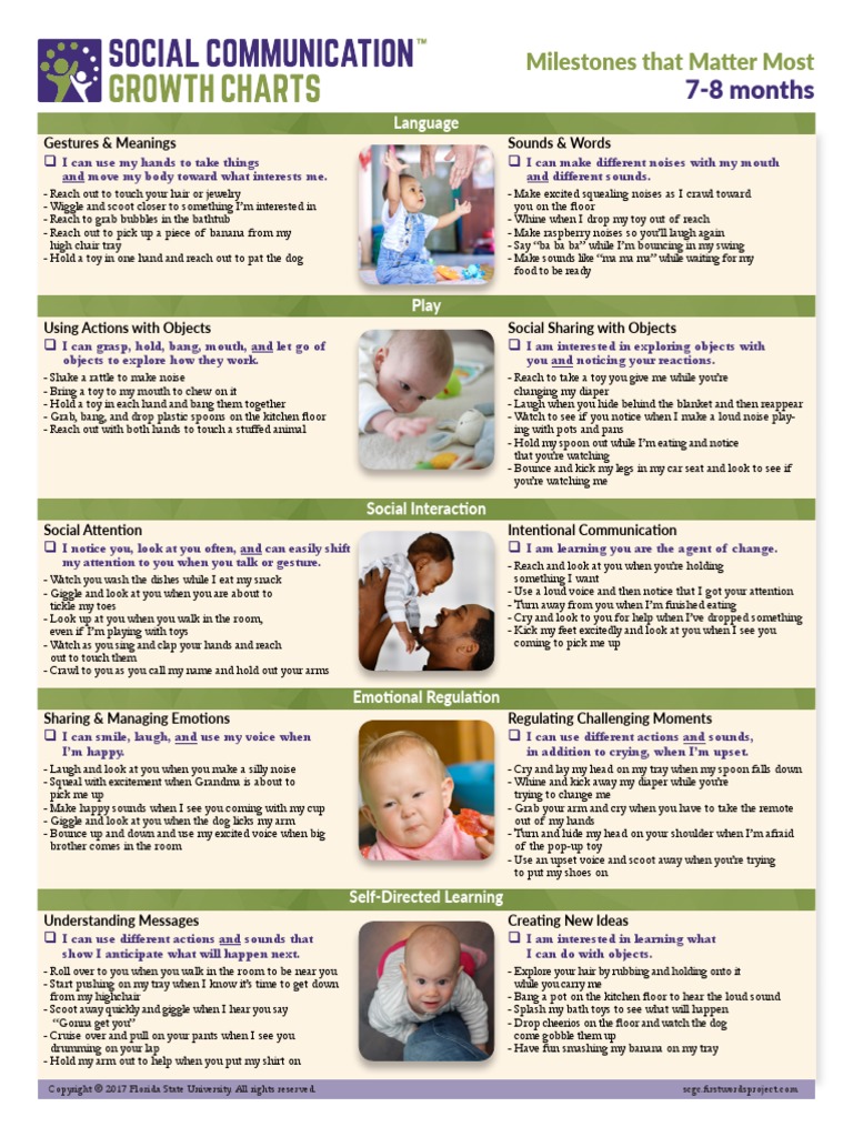 7-8 Months: Milestones That Matter Most | PDF