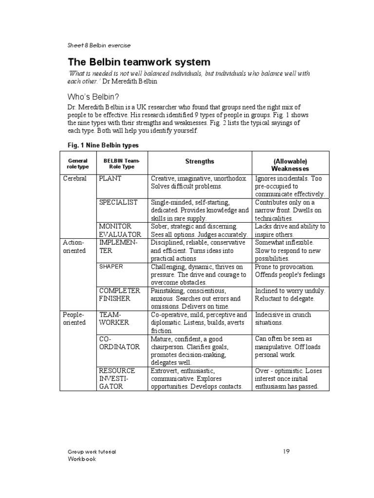 Belbin | PDF