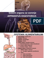 Dif - Digestivni Sistem