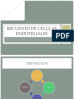 Recuento de Celulas Endoteliales