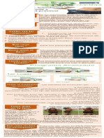Presentación RETO 30 Dias para Prospectos Infograma PDF