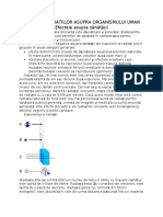 Efectele Radiatiilor Asupra Org Uman