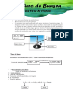 MECHERO DE BUNSEN_TAREA OPCIONAL_SEMANA2.pdf