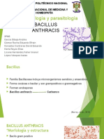 Bacillus anthracis: morfología, patogenia y diagnóstico