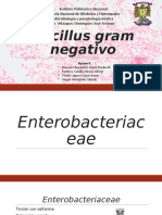 Bacilos gram negativos.pptx